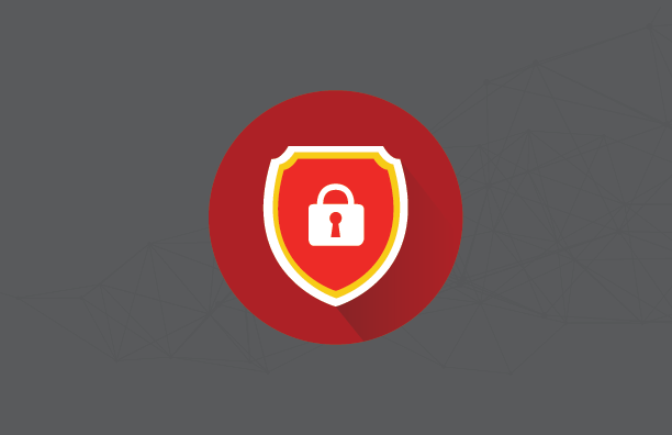 dataVault Icon