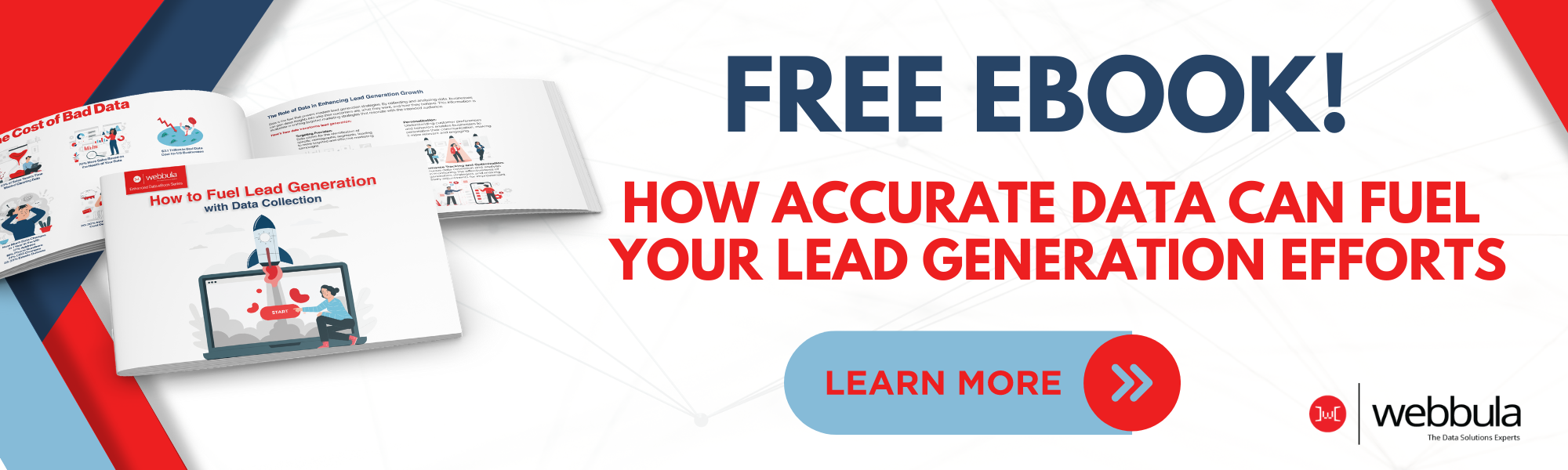 Free Ebook: How Accurate Data Can Fuel Your Lead Gen Efforts